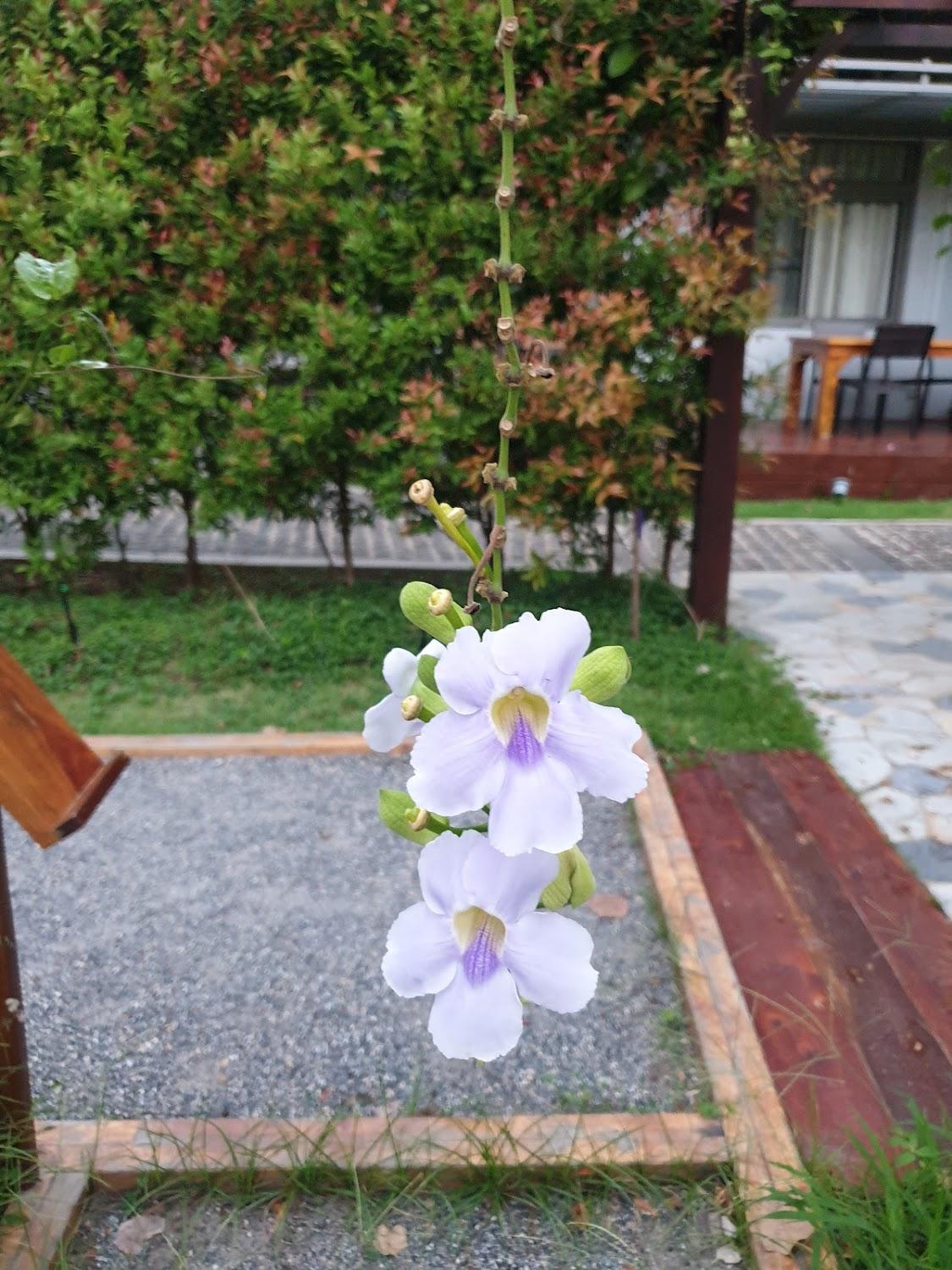 Cover Image for The Resort Villa