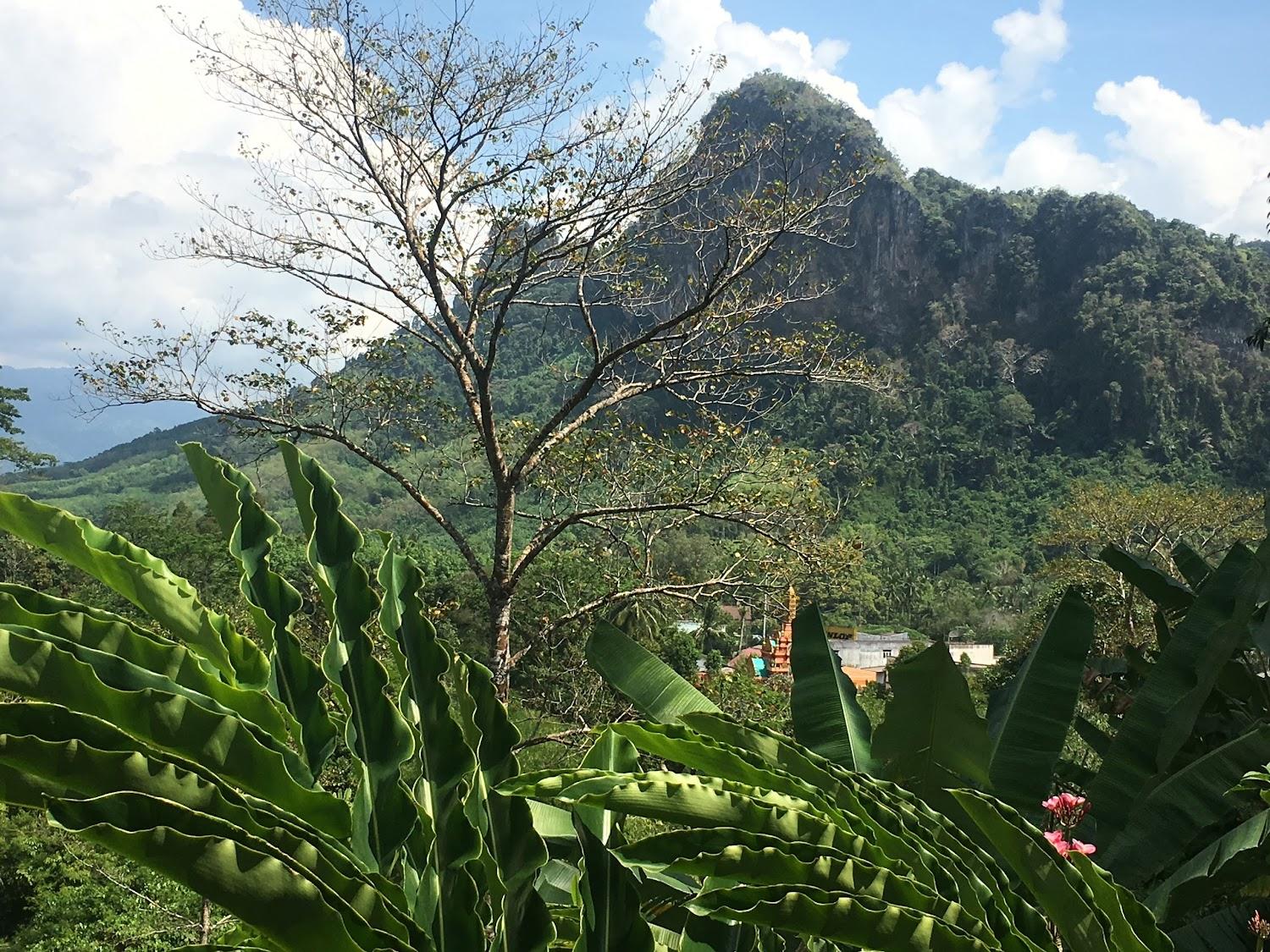 Cover Image for Khaowong Resort Phangnga