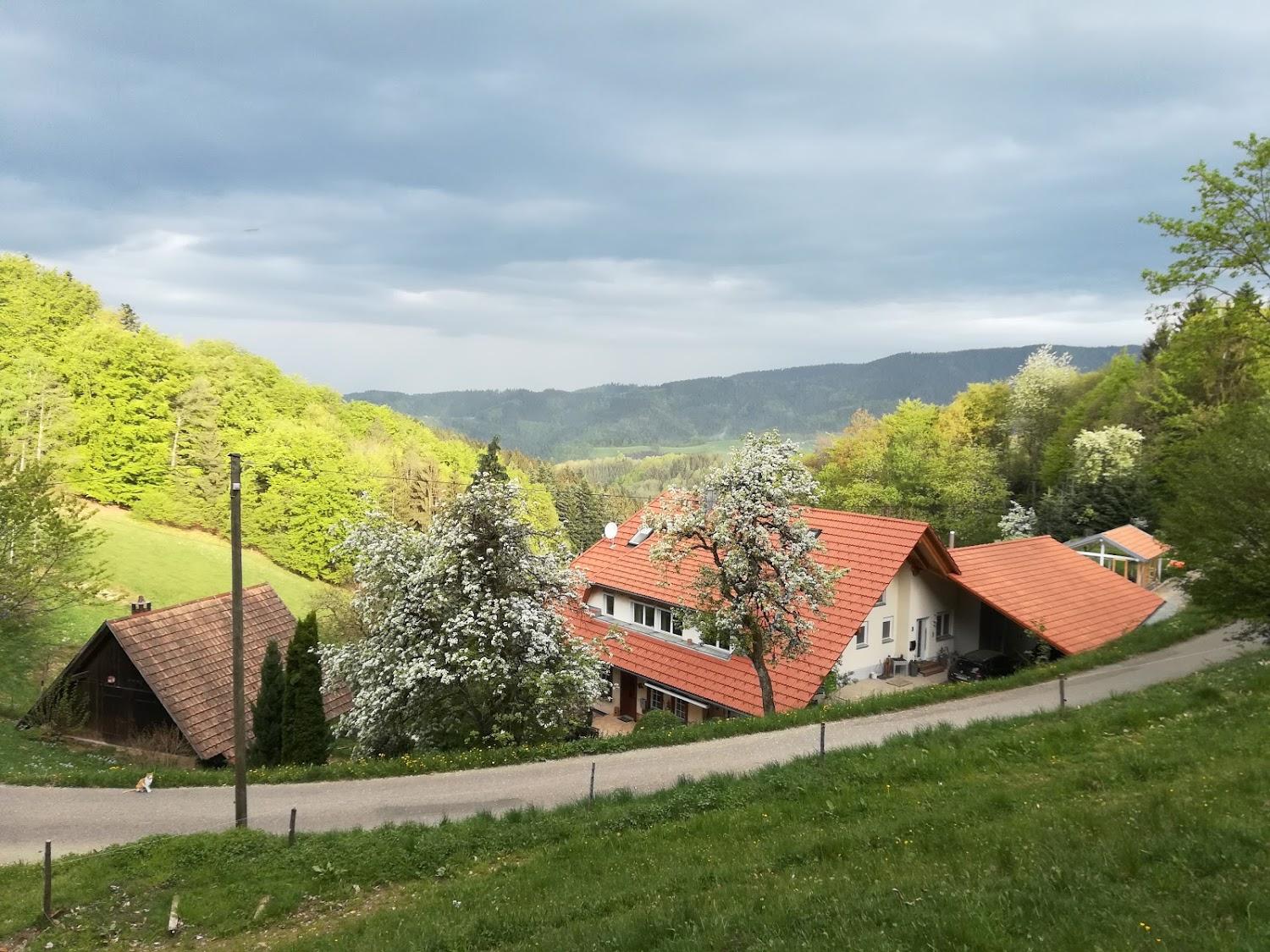 Cover Image for Ferienwohnung Langenberghof