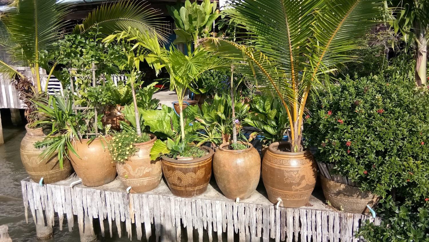 Cover Image for ล่องเลโฮมสเตย์