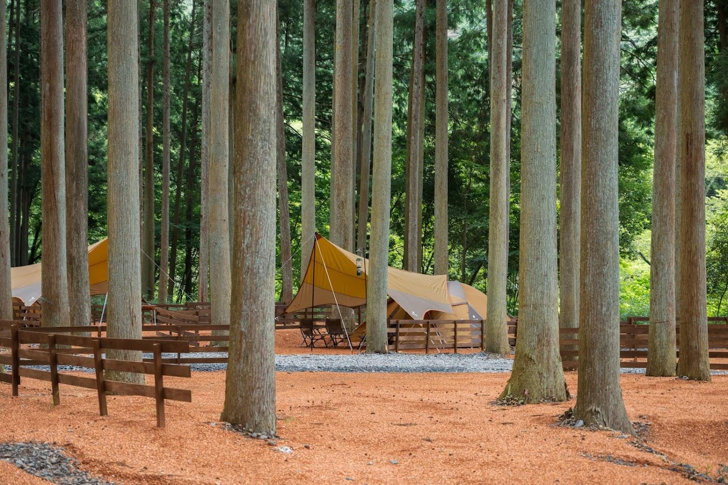 Cover Image for 【グランピング】A LAISE CAMP すめらぎの森