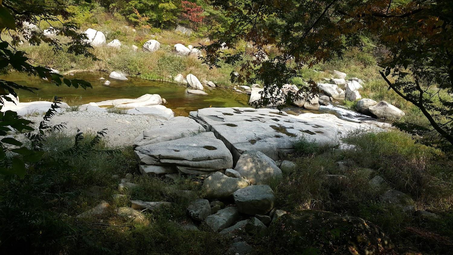 Cover Image for 금성식당 & 민박