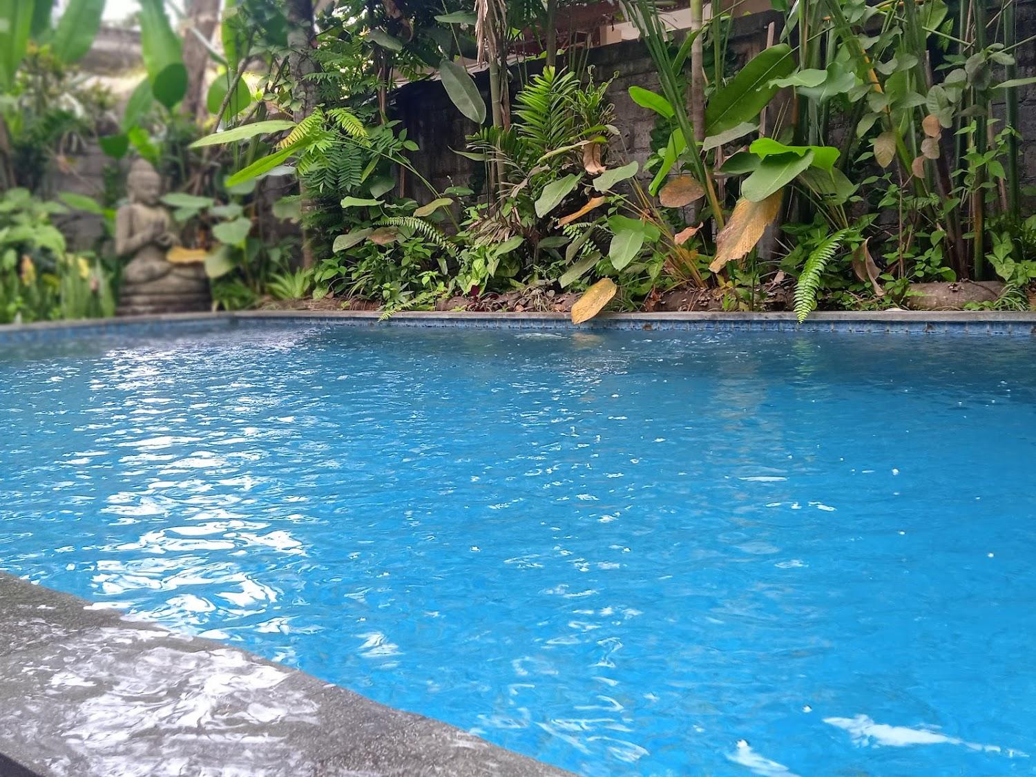Cover Image for Tanah Semujan Ubud