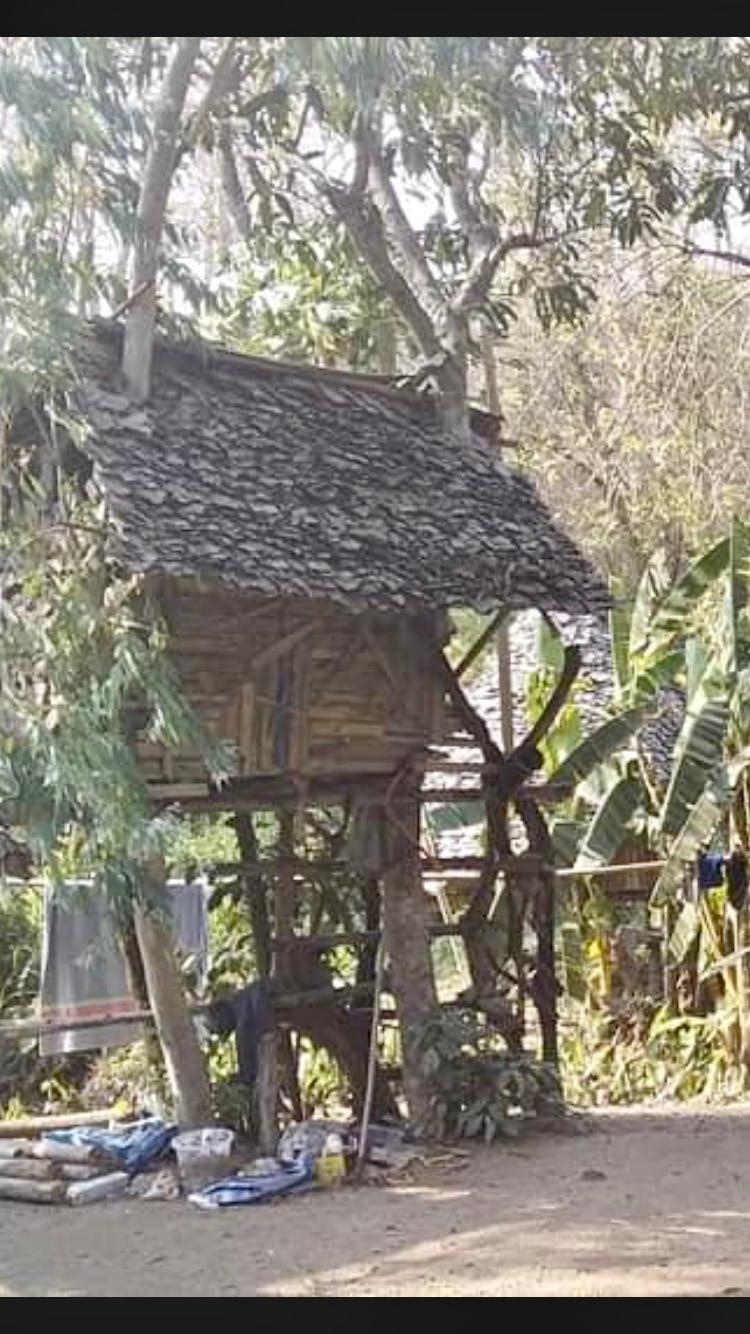 Cover Image for Valhalla Hostel