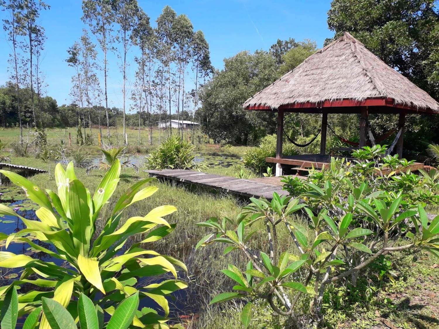 Cover Image for Areeya resort