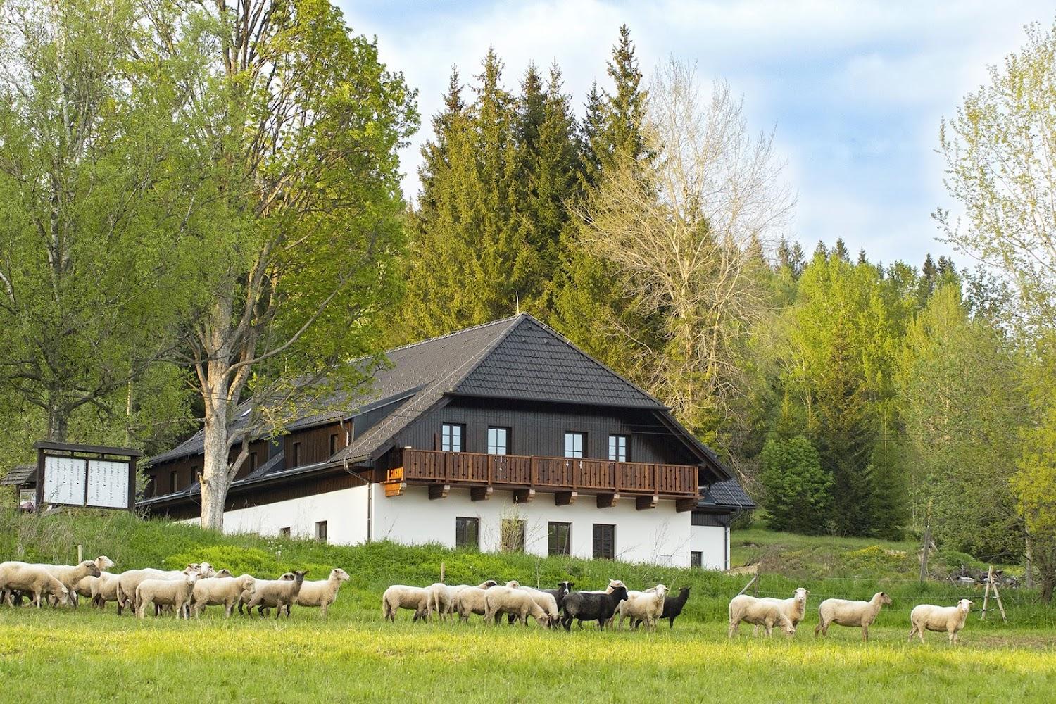 Cover Image for Dvůr Lískový vrch