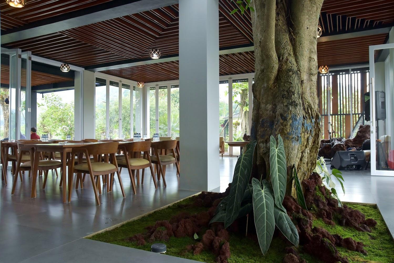 Cover Image for Sarga Earthing Resort