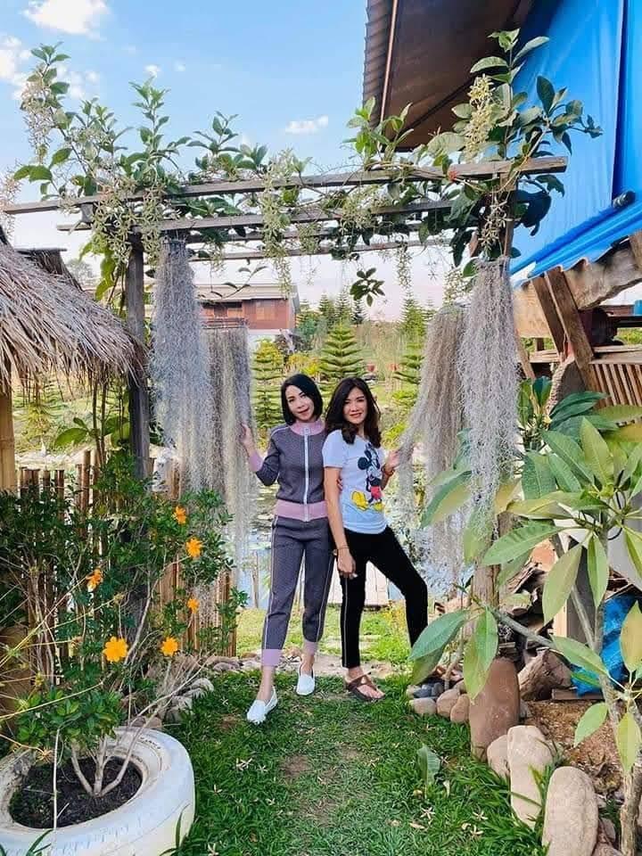 Cover Image for ม่านหมอกเขาค้อ