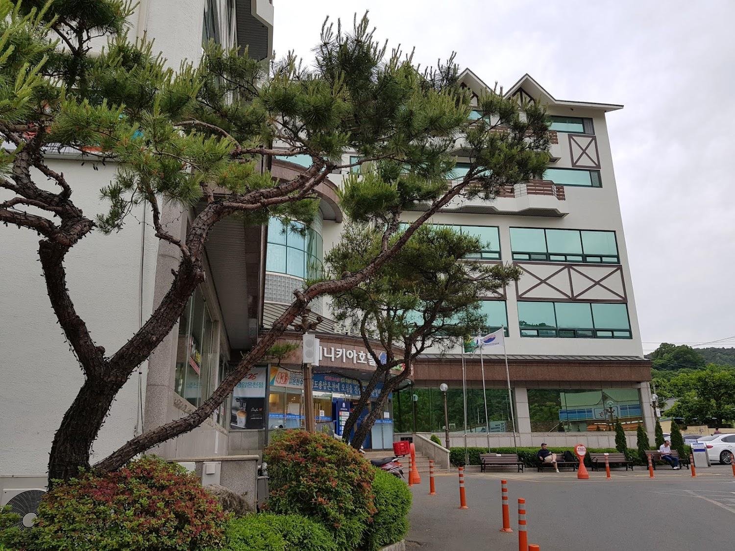 Cover Image for 용암온천관광호텔