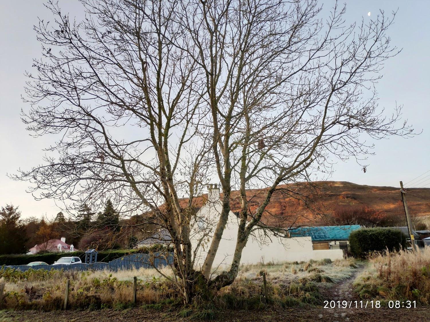 Cover Image for Woodside and The Croft House