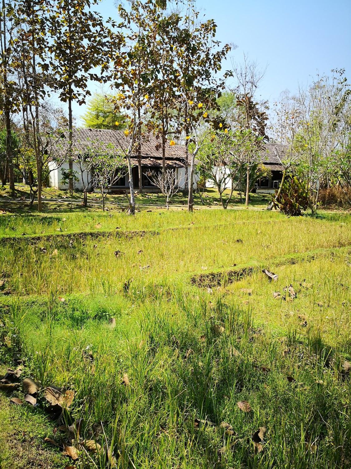 Cover Image for Huan @ Pai Resort