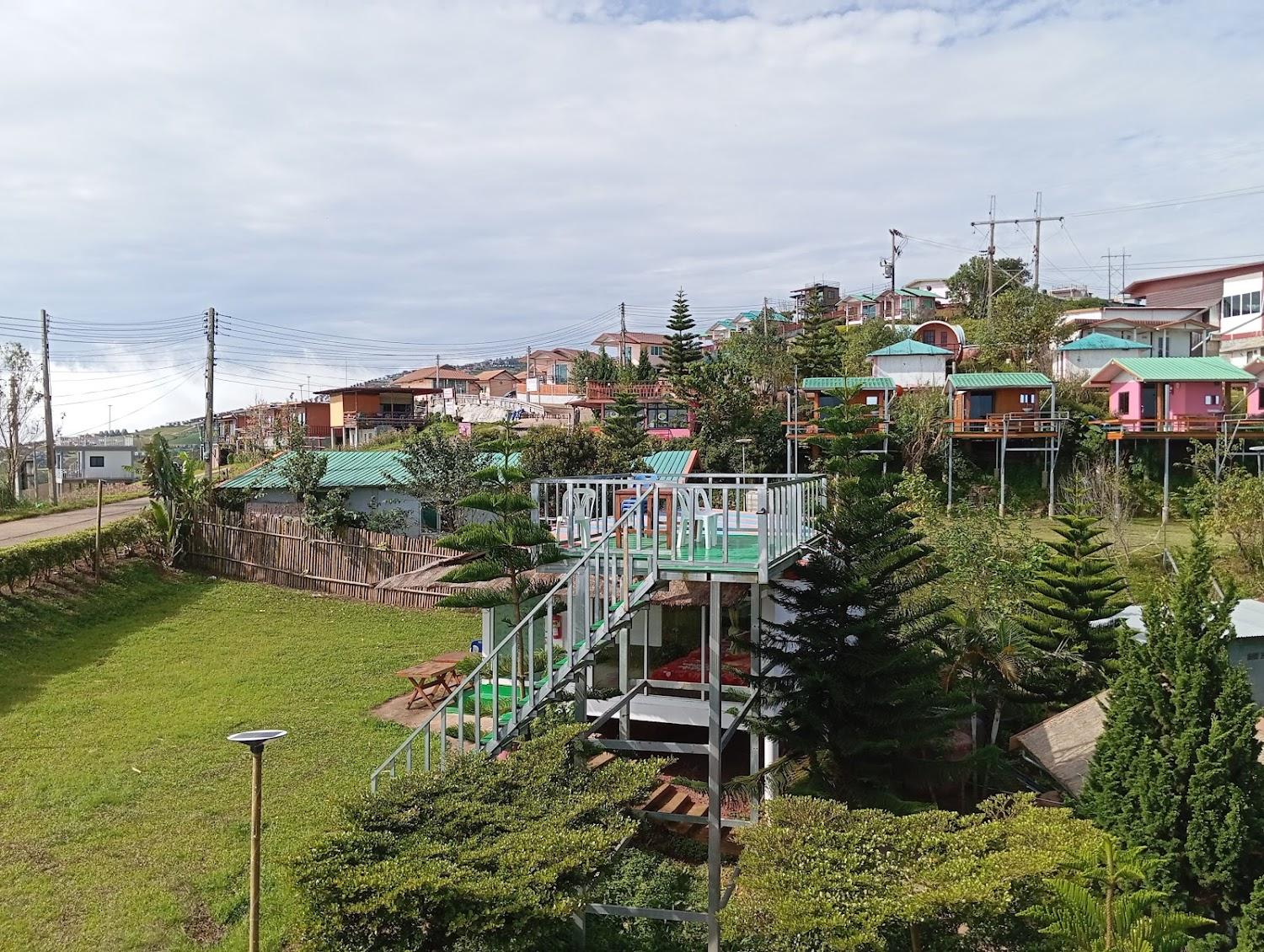 Cover Image for Baan chom dow