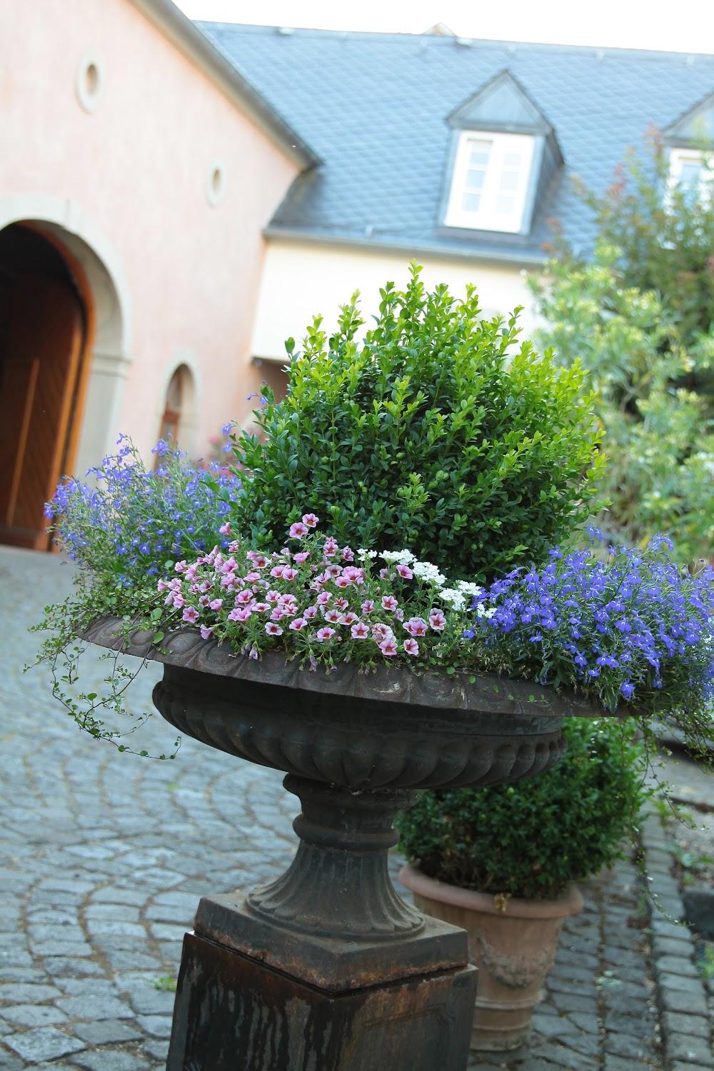 Cover Image for Weingut & Gästehaus Giwer-Greif