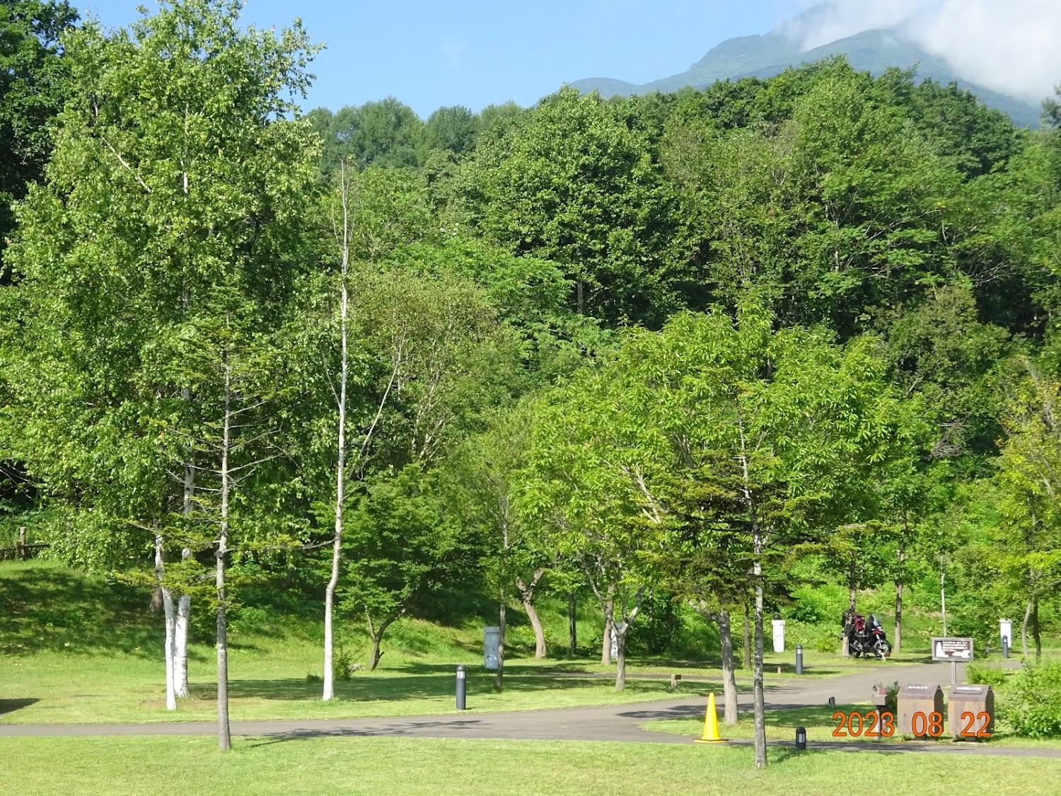 Cover Image for 弥生いこいの広場 オートキャンプ場