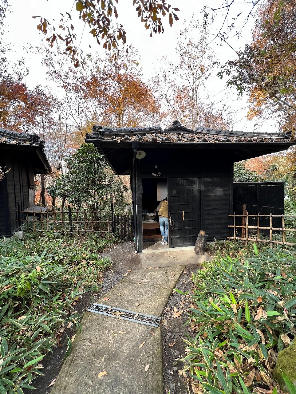 Cover Image for 麻生釣温泉 亀山の湯