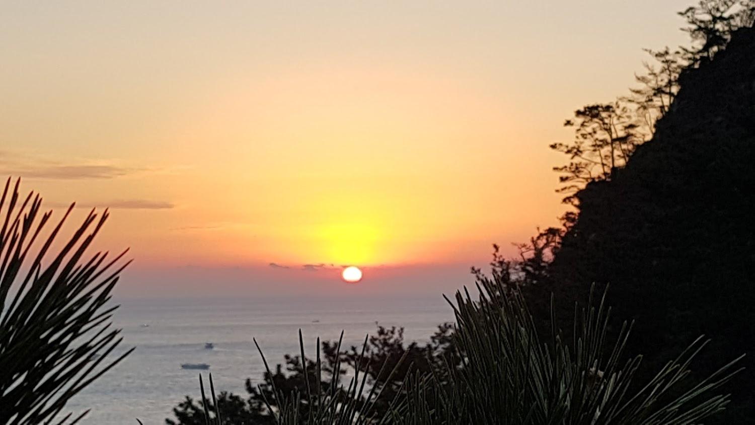Cover Image for 거제도소나무향기펜션