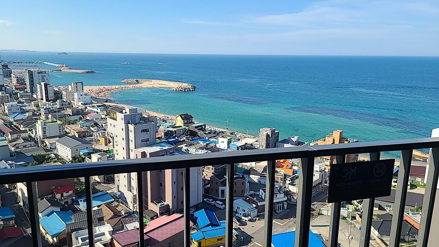 Cover Image for More than Sokcho (모어댄속초)