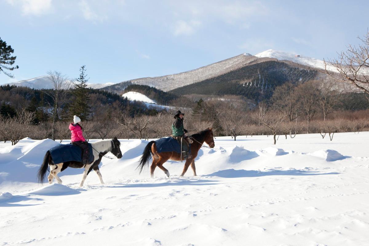Cover Image for Club Med Sahoro - Hokkaido