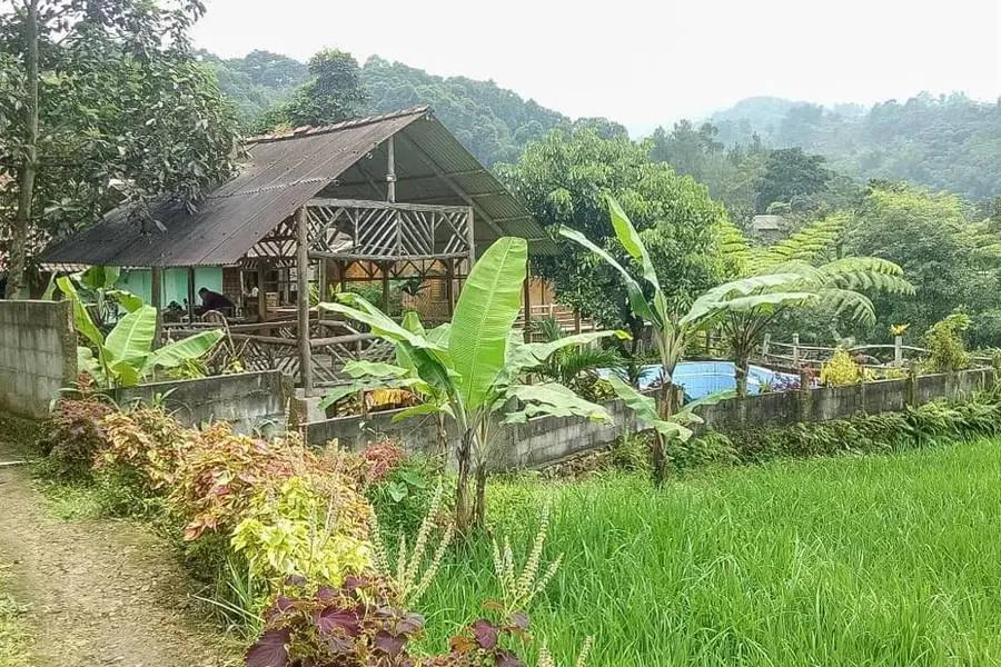 Cover Image for De Salak Homestay Gunung Salak Mitra RedDoorz