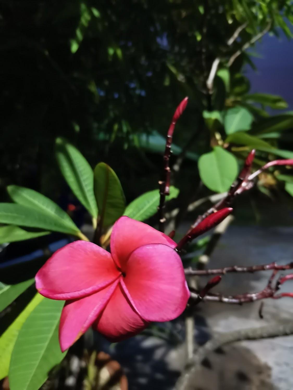 Cover Image for บ้านริมน้ำ ห้องพักรายวัน สายใต้ใหม่