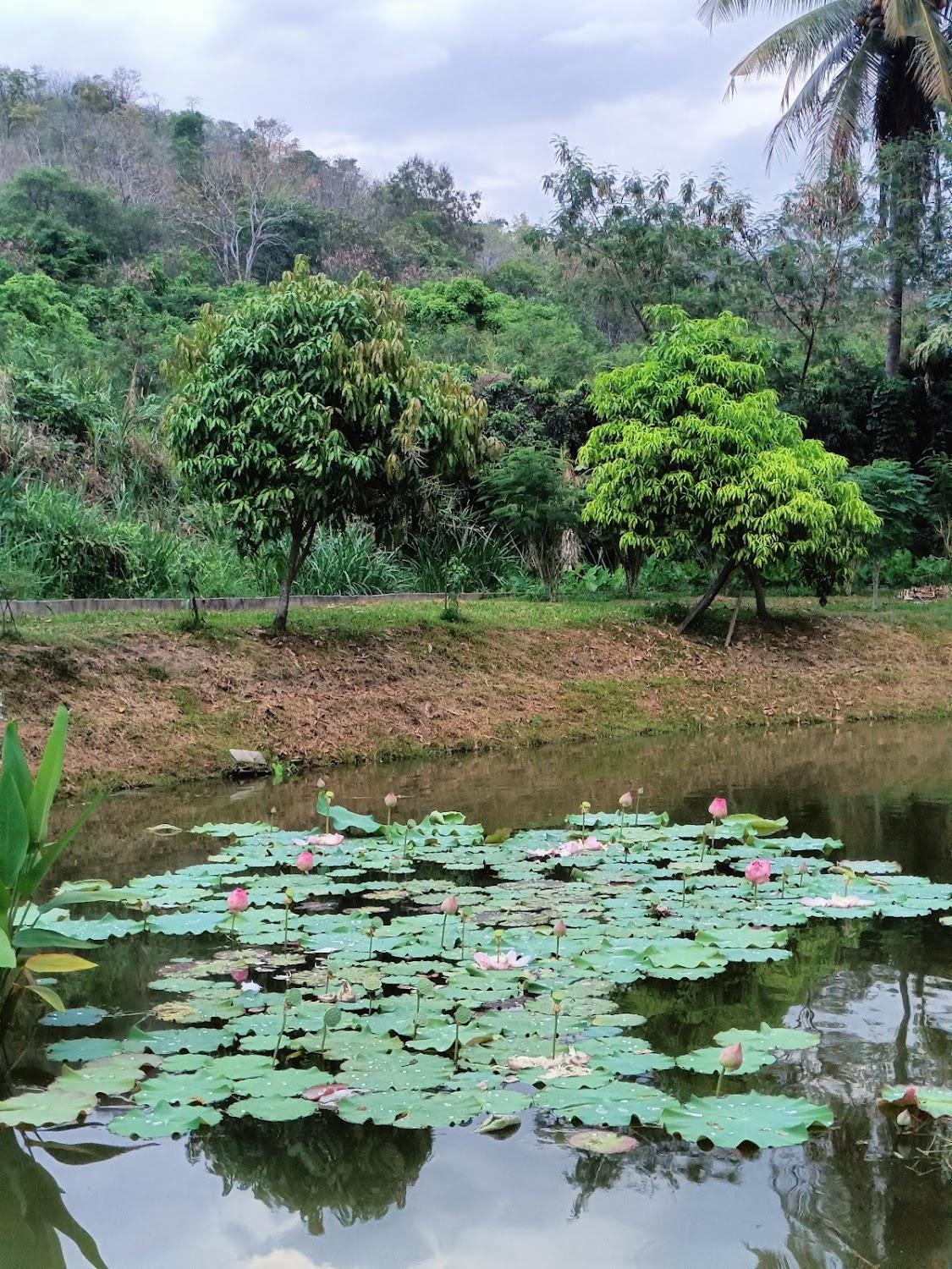 Cover Image for MTT resort