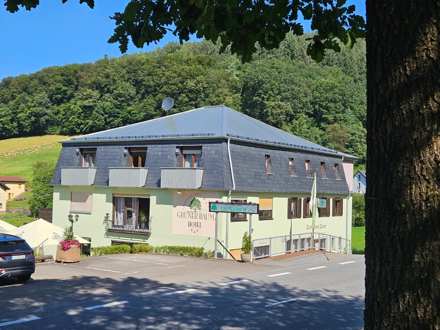 Cover Image for Hotel Landgasthof Grüner Baum