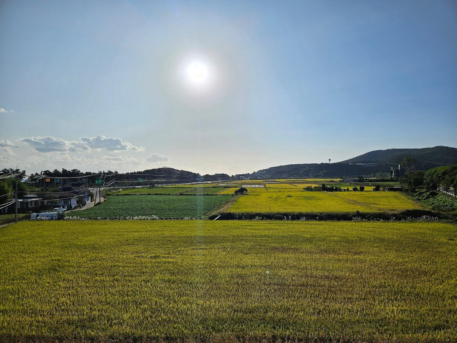 Cover Image for 아쿠아마린