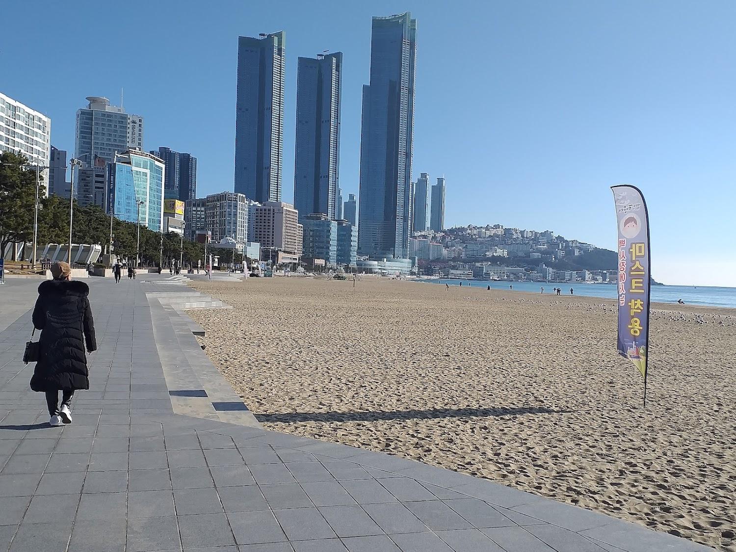 Cover Image for W모텔