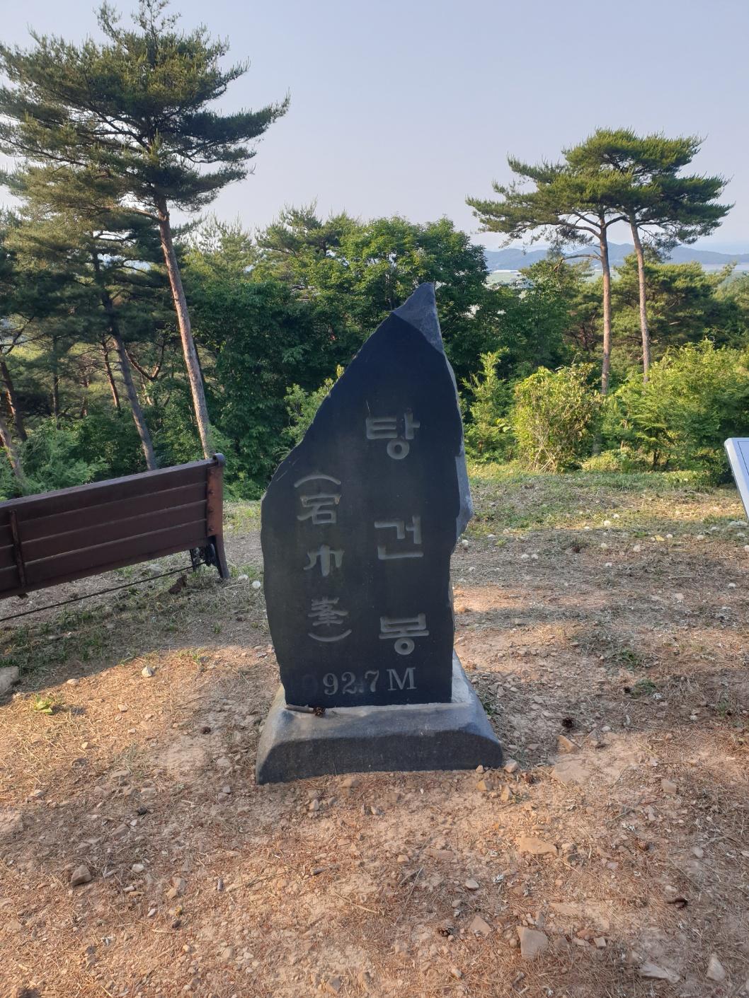 Cover Image for 솔숲하우스