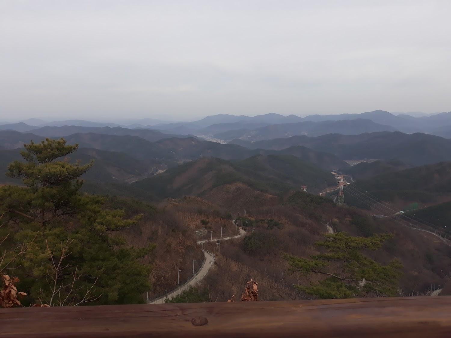 Cover Image for 삼사오션뷰호텔
