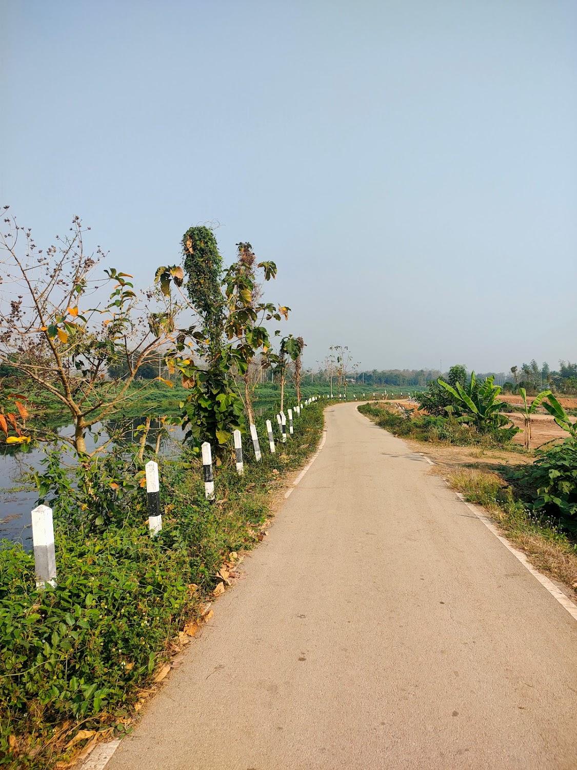 Cover Image for Ảnh At a glance
