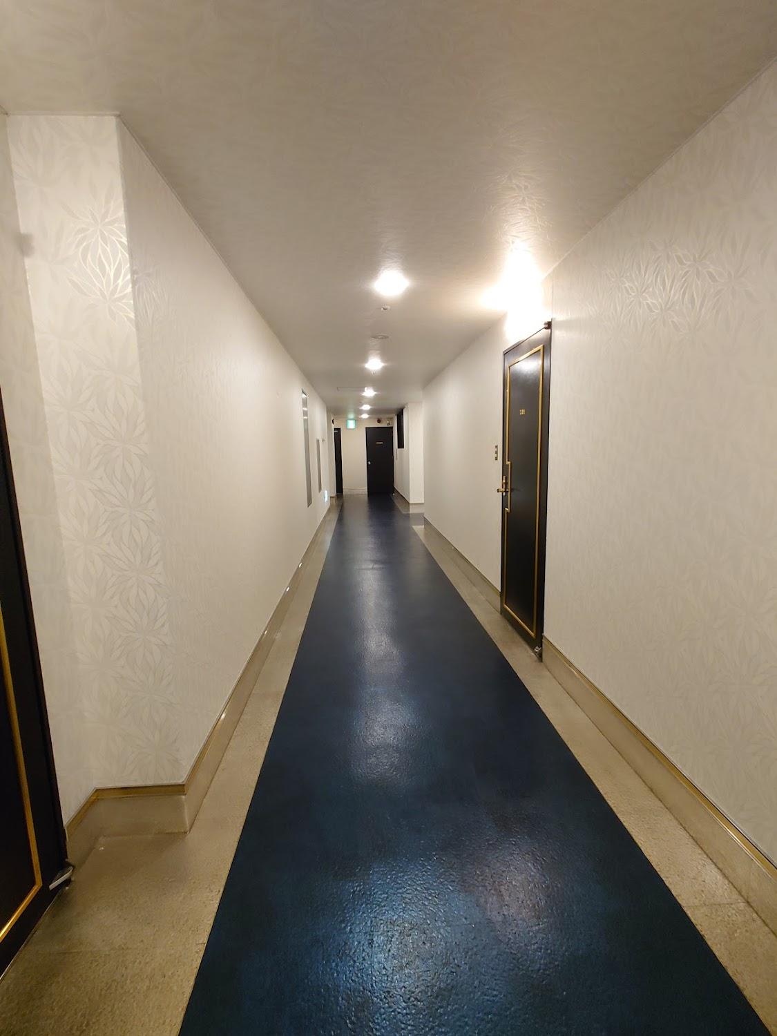 Cover Image for Hotel Ritz Koshien