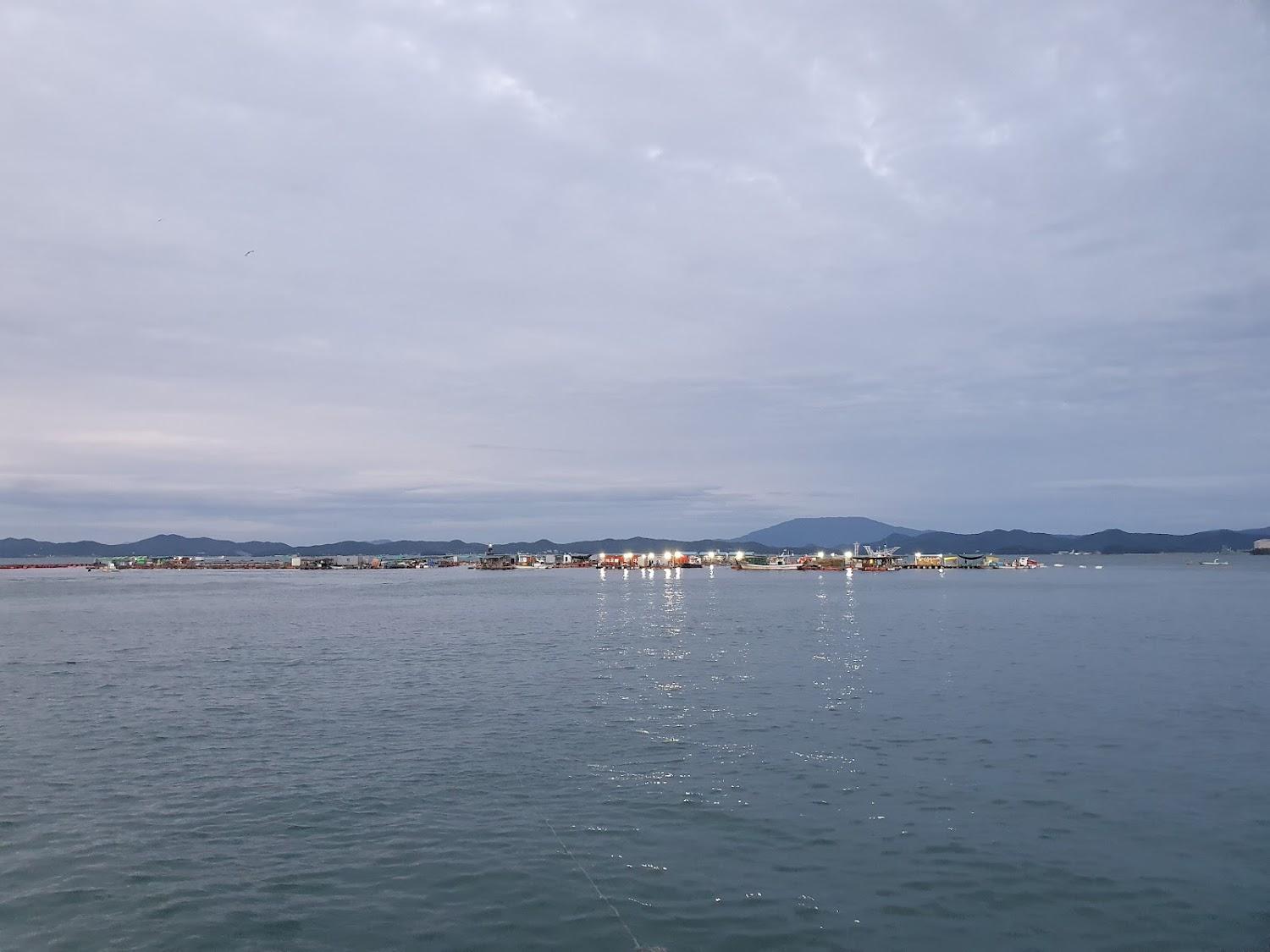 Cover Image for 구매항펜션