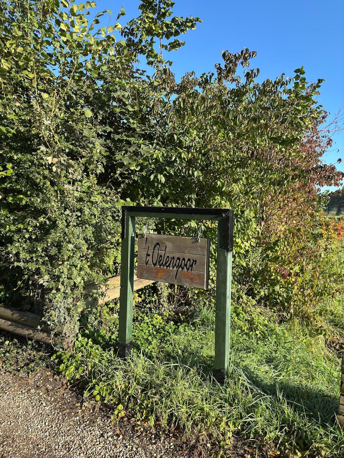 Cover Image for 't Oelengoor