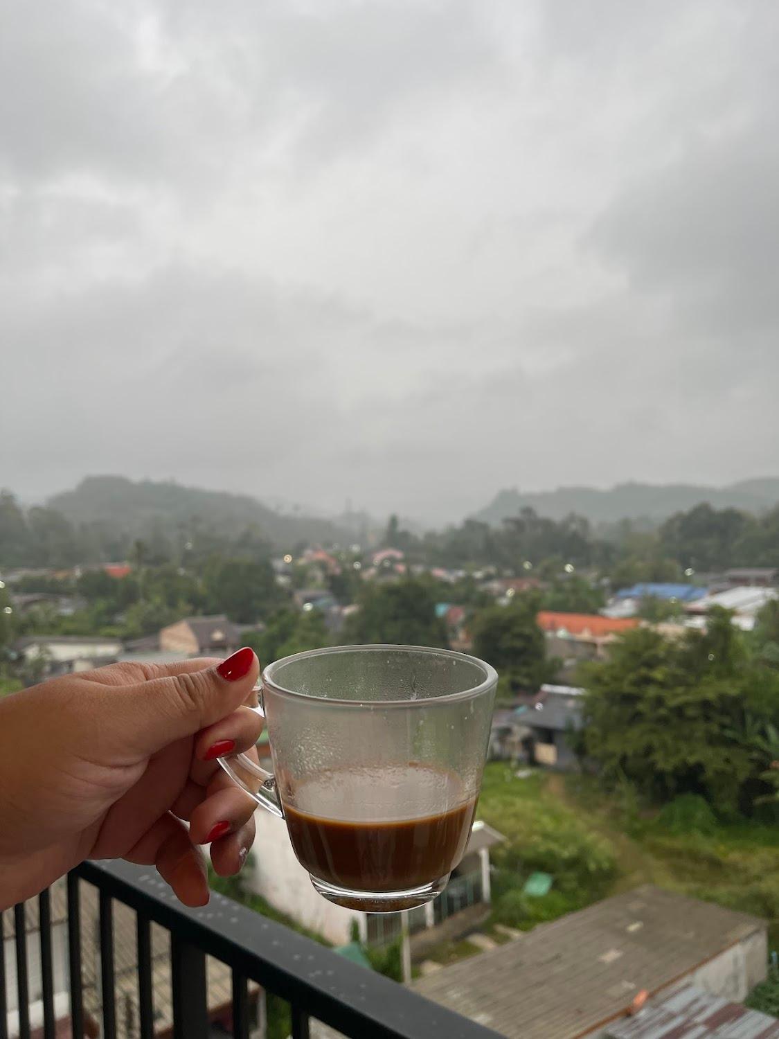 Cover Image for Butterfly Hotel Betong