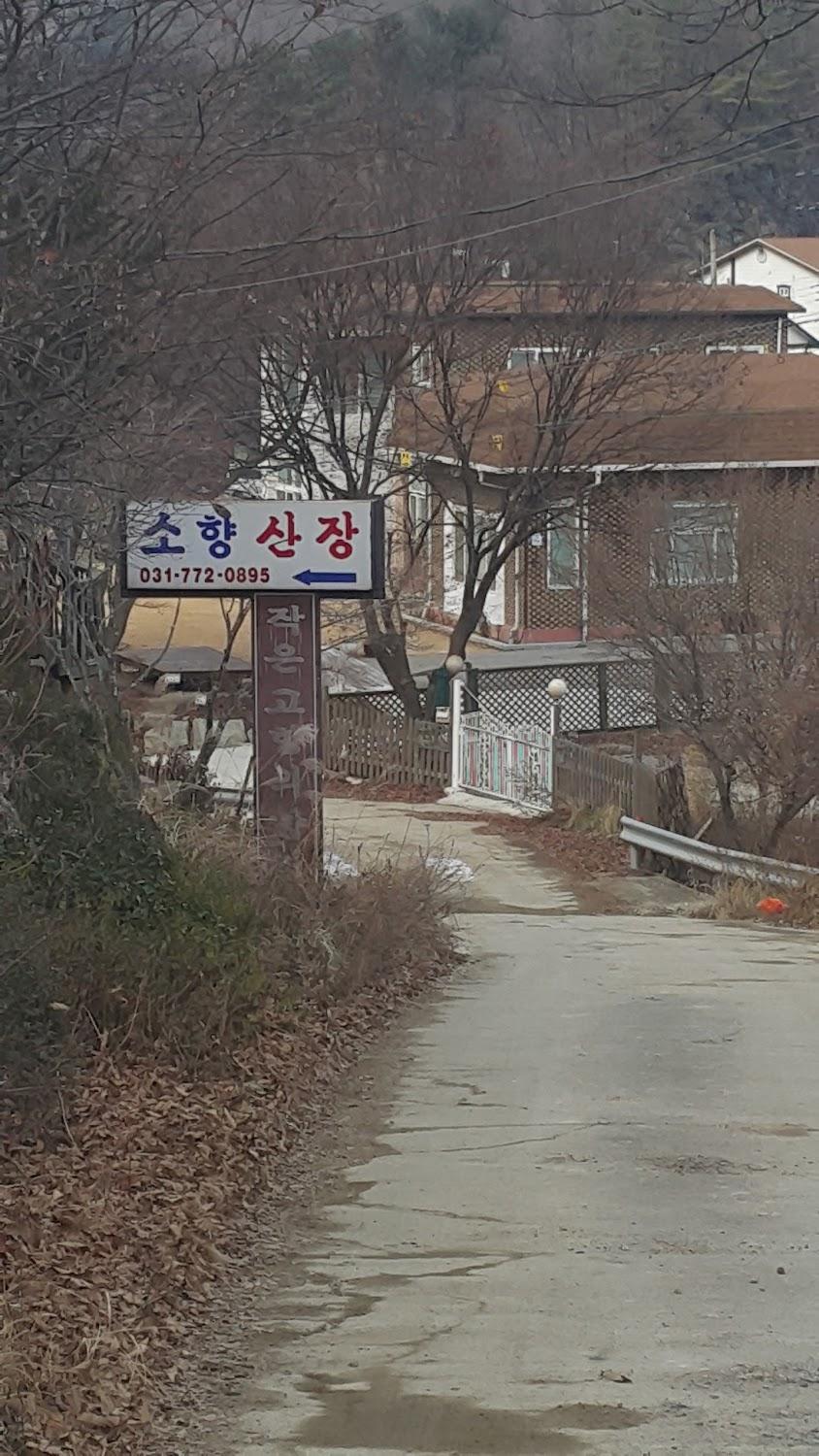 Cover Image for 소향산장