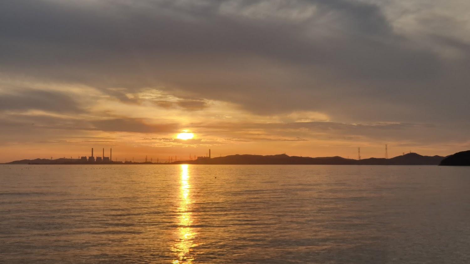 Cover Image for 대부도 오캠핑장