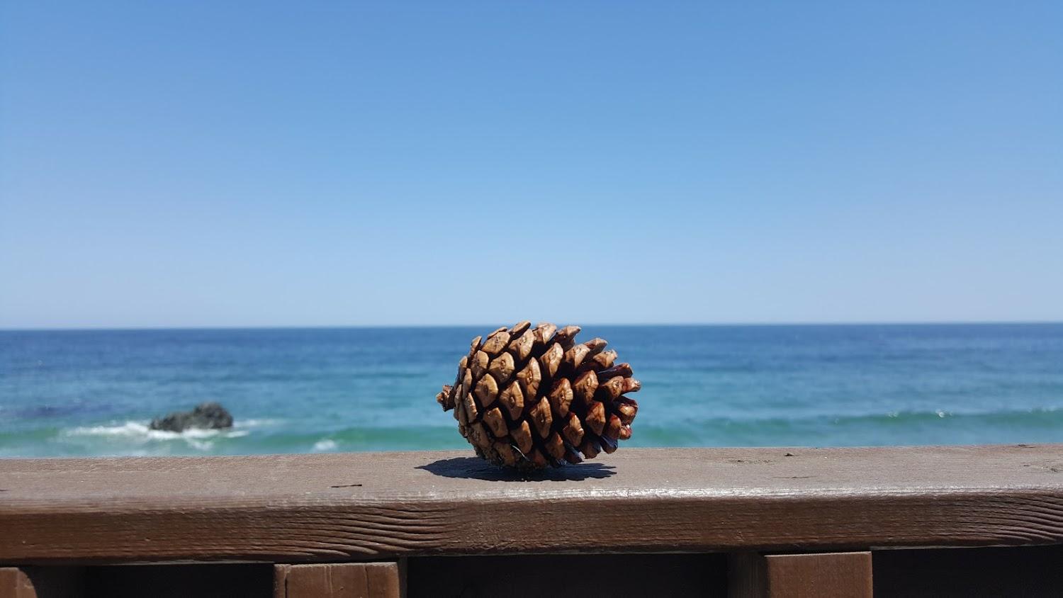 Cover Image for 바닷가모래밭펜션