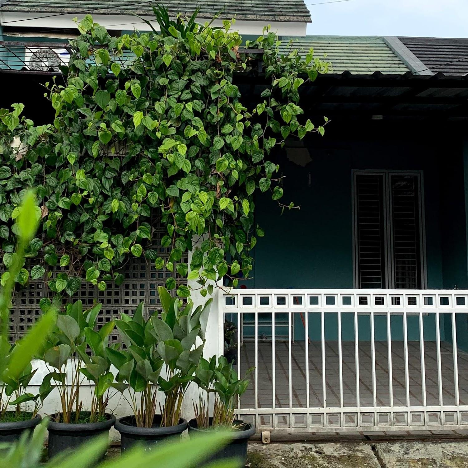Cover Image for Rumah teman homestay