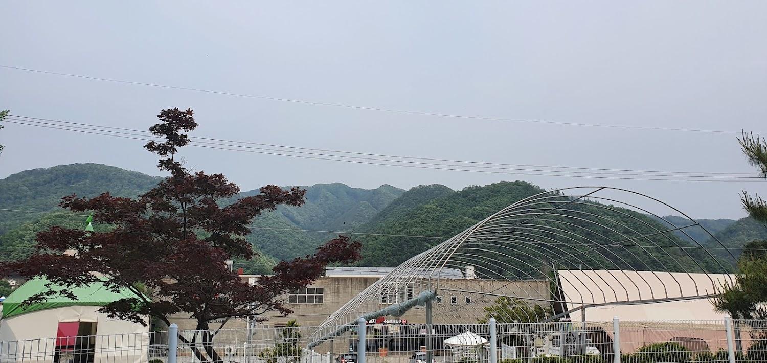 Cover Image for Namisum Best-Camp