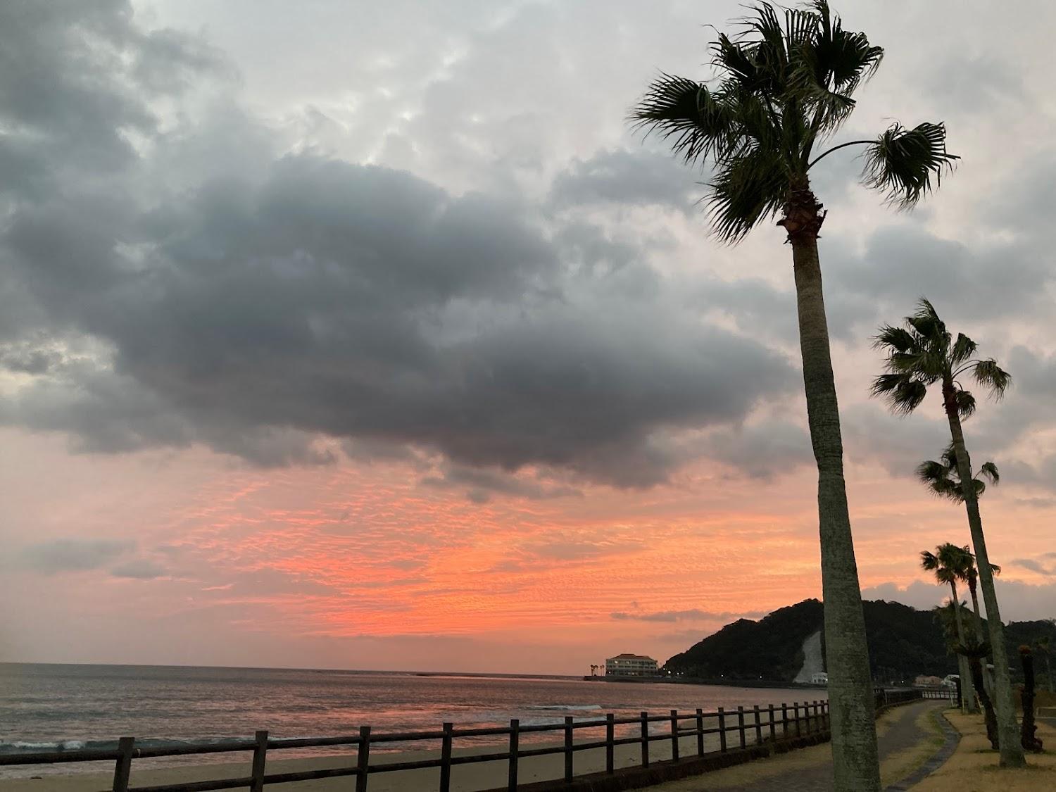 Cover Image for 宮崎白浜キャンプ場