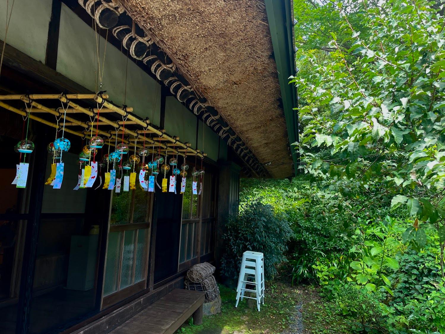 Cover Image for Aru No Mori