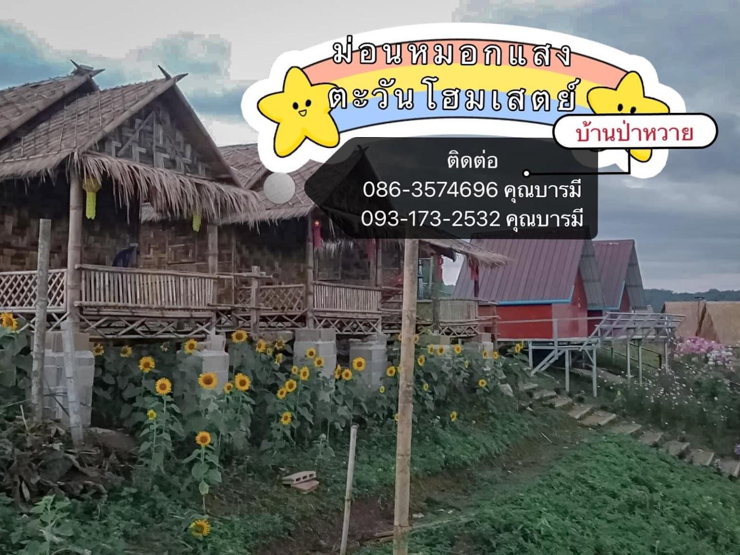 Cover Image for ม่อนหมอกเเสงตะวันโฮมสเตย์