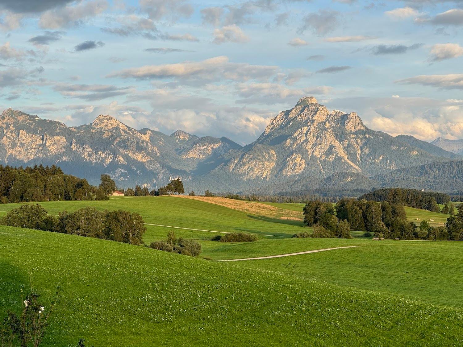 Cover Image for Panoramahof Miller