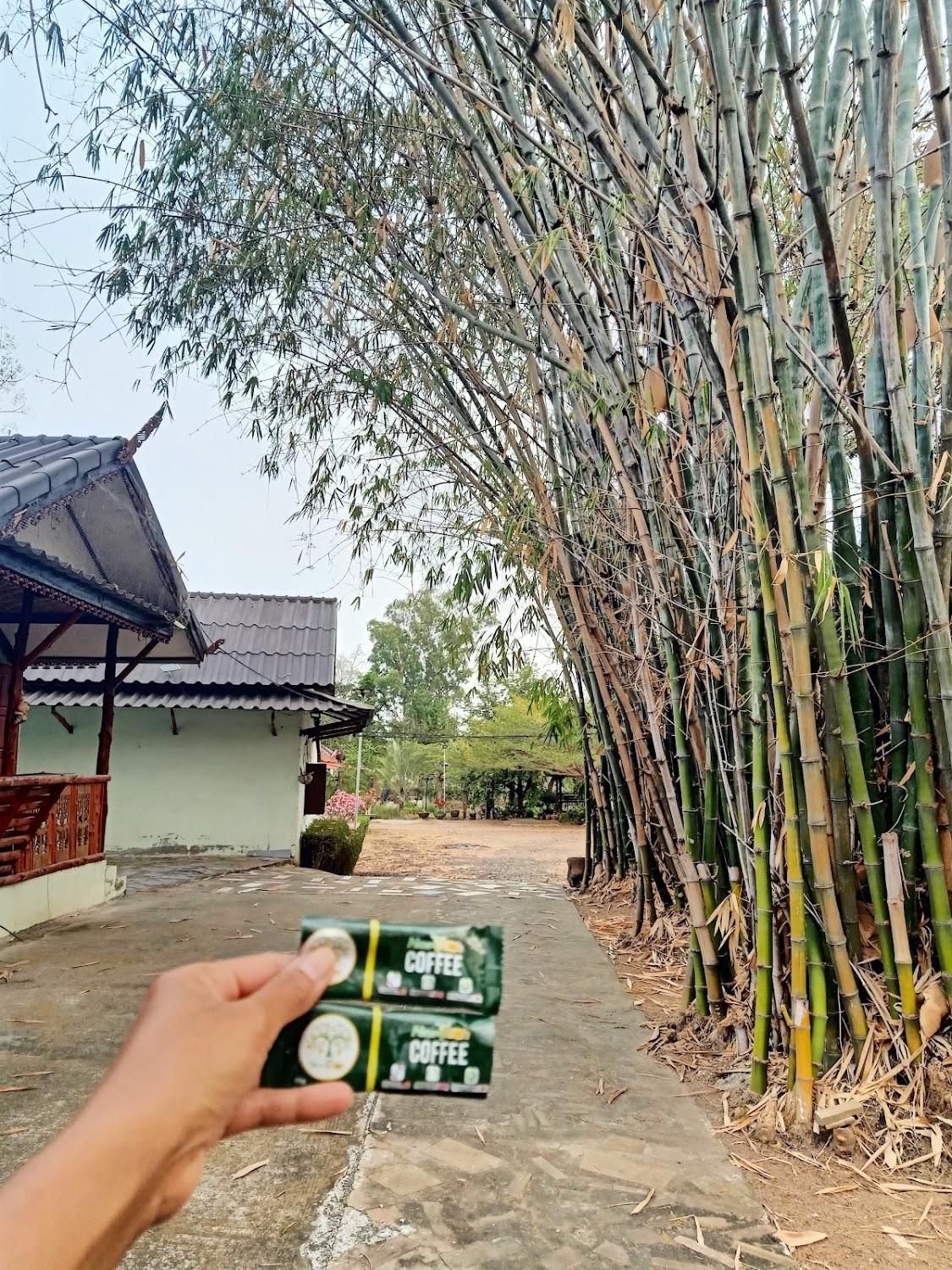 Cover Image for Baansakuna Resort (บ้านสกุณารีสอร์ท)