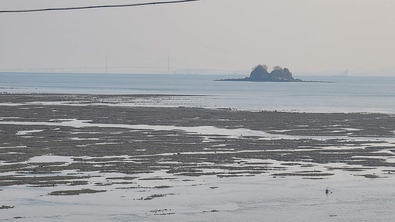 Cover Image for 정다운펜션