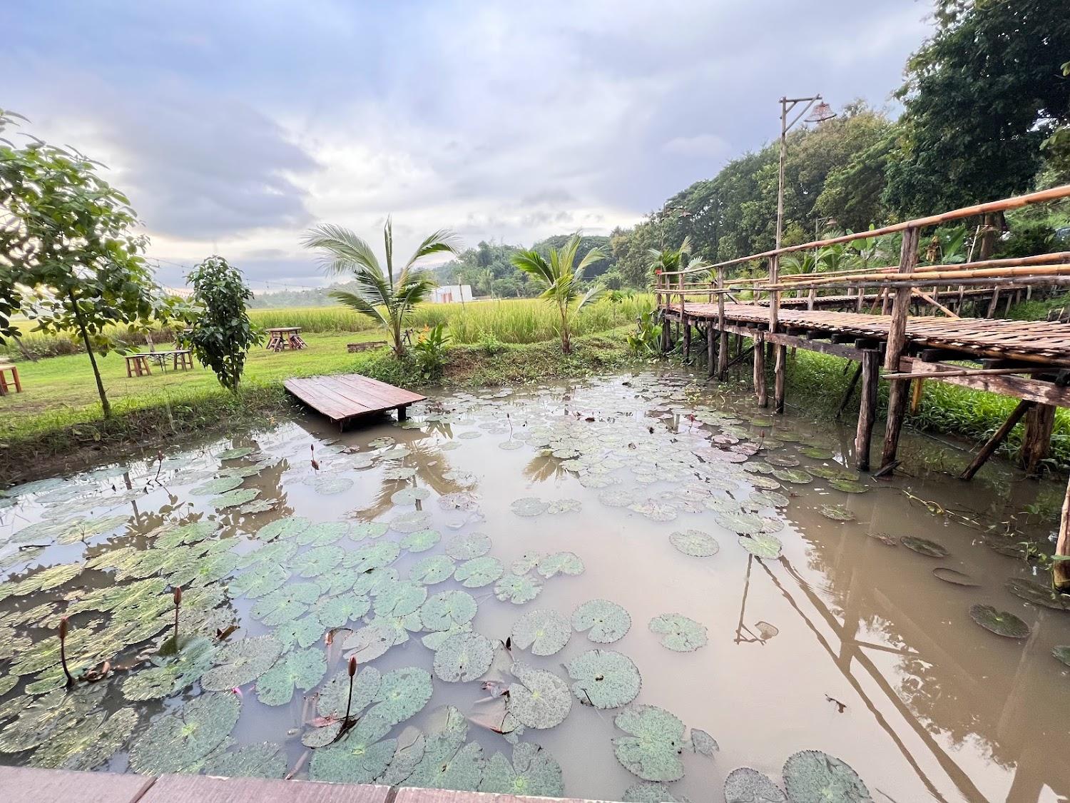 Cover Image for นาไลย วิว คาเฟ่&โฮมสเตย์ "Nalai View Cafe' & Homestay"
