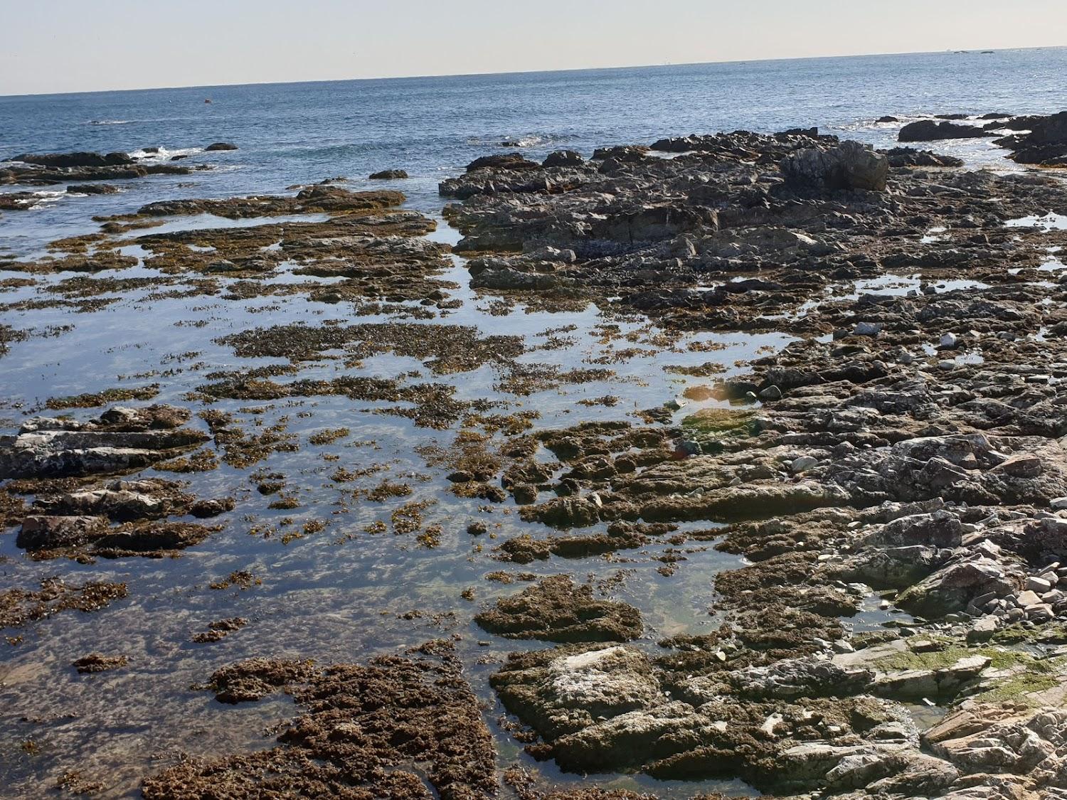 Cover Image for 푸른고래카라반캠핑