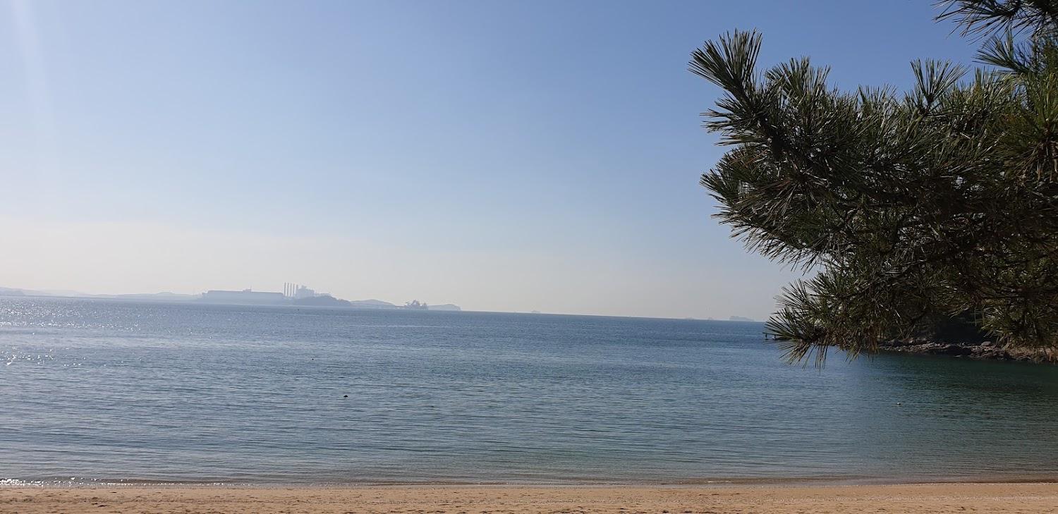 Cover Image for 꾸지나무골펜션텔