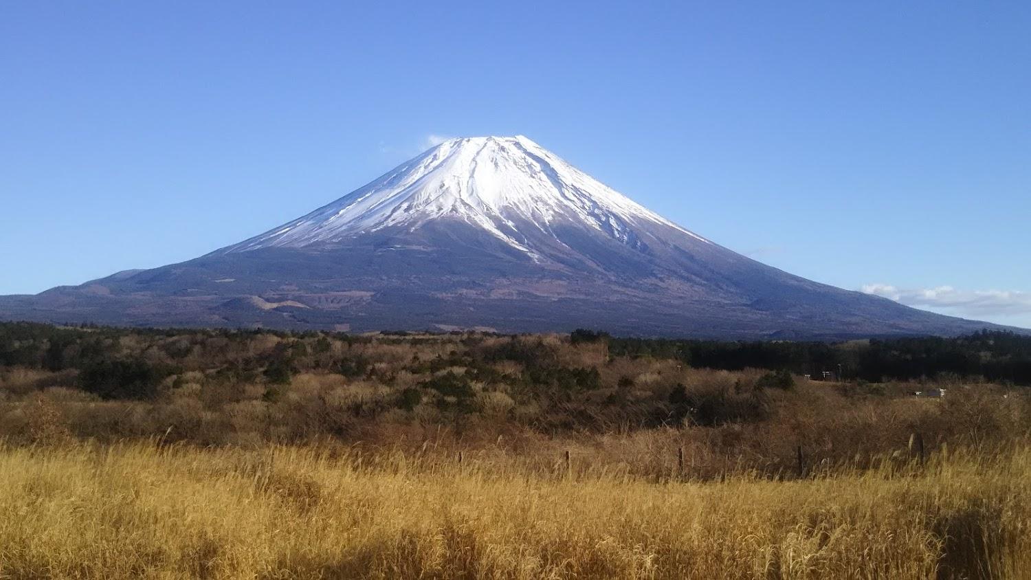 Cover Image for リゾートホテル ラ・フォーレ白馬 La Foret Hakuba